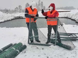 «Карельский окатыш» реализует проект по фитоочистке сточных вод