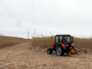 «ФСК ЕЭС» расчистила трассы 33-х магистральных ЛЭП Самарской области