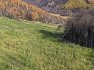 Восточная горнорудная компания рекультивировала 22 га земель на Солнцевском угольном разрезе