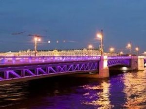 Дворцовый мост в Санкт-Петербурге стал фиолетовым в День недоношенных детей