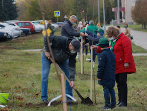 На побережье водоема-охладителя Курской АЭС появилась липовая аллея