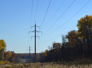 «Чувашэнерго» установило 249 птицезащитных устройств на воздушных ЛЭП 35-110 кВ