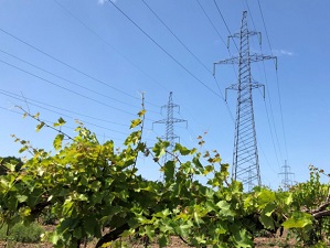 «Россети Кубань» подключили к электросетям 360 объектов АПК на юго-западе Краснодарского края
