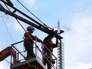 «Россети Юг» установили на линиях электропередачи 4,8 тысячи птицезащитных устройств