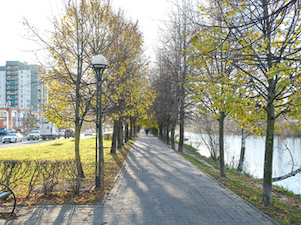 В Санкт-Петербурге началась реконструкция освещения на Аллее Чернобыльцев