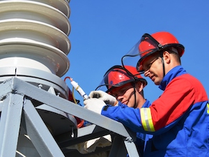 «Саратовские распределительные сети» отремонтировали более 1300 км ЛЭП