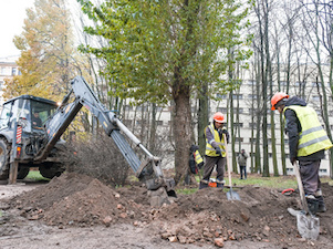 Сквер Товстоногова в Петербурге получит современную систему освещения