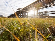 «Башнефть» направила на природоохранные проекты 4,8 млрд рублей