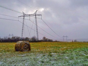 МЭС Сибири установят на ЛЭП более 24 тысяч птицезащитных устройств
