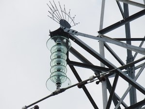 «Россети Тюмень» смонтировали 4,8 тысячи птицезащитных устройств на высоковольтных ЛЭП 