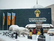 «Роснефть» с 2015 года исследует популяцию атлантического подвида моржа