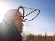 «Хабаровские электрические сети» отремонтировали более 150 км воздушных ЛЭП