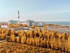 Ленинградская АЭС на 100,35% выполнила план октября по выработке электроэнергии