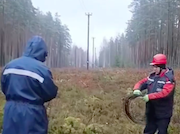 «Выборгские электрические сети» демонтируют незаконные подвесы оптоволокна на опорах ЛЭП