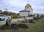 Ростовская АЭС подарила Волгодонску липовую аллею