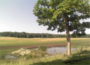 ЛУКОЙЛ презентовал программу экологической безопасности стоимостью 57 млрд. руб.