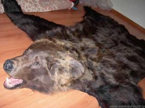 Съёмка и консервирование шкур хищных животных для сувенирных изделий