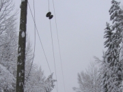 В Псковской области без напряжения остаются 5 ВЛ 110-35 кВ и 33 ВЛ 10 кВ