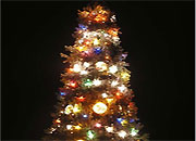 ЕЭСК обеспечит электроснабжение главной ёлки Екатеринбурга