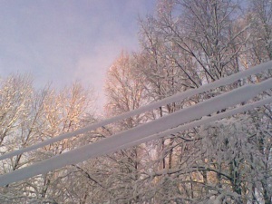 «Новгородэнерго» обещает устранить повреждения ЛЭП к концу светового дня