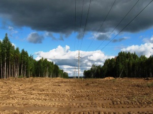 «Смоленскэнерго» завершило расчистку и расширение просек ЛЭП