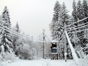 МРСК Юга объявила режим повышенной готовности в Астраханской области