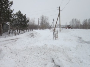 Снегопад в Еврейской автономной области привел к перебоям в электроснабжени