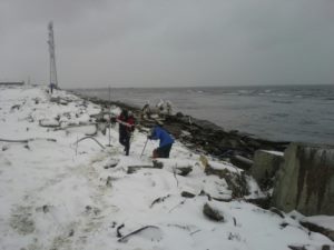 В береговой зоне Невельска собрано 500 кубометров загрязненного музутом грунта