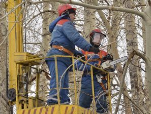 «МРСК Сибири» обезопасит Новокузнецк от «деревянных отключений»
