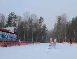 «Псковэнерго» подготовит электросети к Чемпионату мира по биатлону