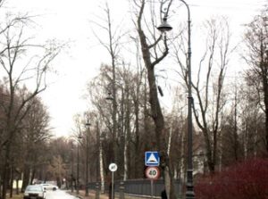 «Ленсвет» установил чугунные фонари с натриевыми источниками света на Большой аллее Каменного острова