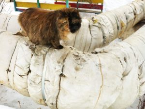 «Т Плюс» за полгода заменила более 20 километров новой изоляции теплотрасс в Оренбуржье