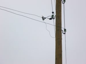 С начала года Комиэнерго выявило 268 фактов хищения электроэнергии