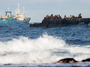 На Сахалине применят скиммер для откачки нефтепродуктов с аварийного танкера «Надежда»