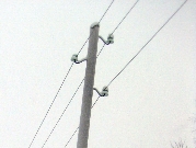 «Карелэнерго» восстановило нормальную схему электроснабжения в поселке Лендеры