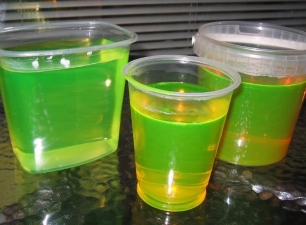 Вода в Барнауле позеленела