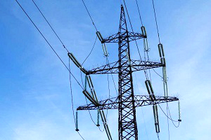 ФСК ЕЭС установила на ЛЭП птицезащитные устройства