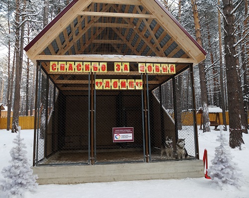 СГК построила новый  дом для аляскинских маламутов Дины и Фила