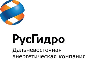 Дальневосточная энергетическая компания меняет фирменный стиль