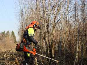 «Рязаньэнерго» расчистило 346 га просек ЛЭП на учениях в Тверской области