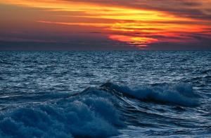 Росгеология оценила углеводородный потенциал Енисейского залива