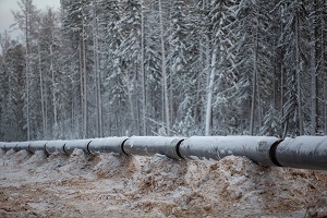 Даниловский кластер и Верхнечонское месторождение соединит нефтепровод