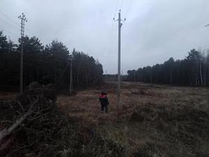 Последствия урагана в Псковской области устраняют 130 бригад