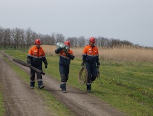 Тихорецкие электросети заменили на ЛЭП свыше 23 тысяч изоляторов