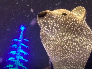 Компания СУЭНКО подарила тюменцам светящихся белых медведей