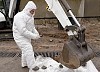 «РосРАО» реабилитировало загрязненные радиацией территории в Чистопольском районе Татарстана
