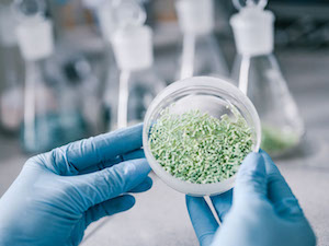 Технологический институт СПб стал научным партнером катализаторного проекта «Газпром нефти»