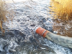 В водоем-охладитель Балаковской АЭС выпущено 12,4 тонн молоди рыбы