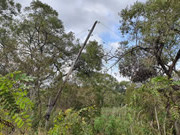 С начала 2020 года «Россети Юг» приняли на баланс 124 энергообъекта в Астраханской области