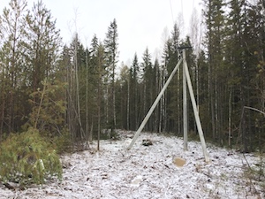 «Россети Северо-Запад» электрифицирует отдаленную деревню в Княжпогостском районе Коми